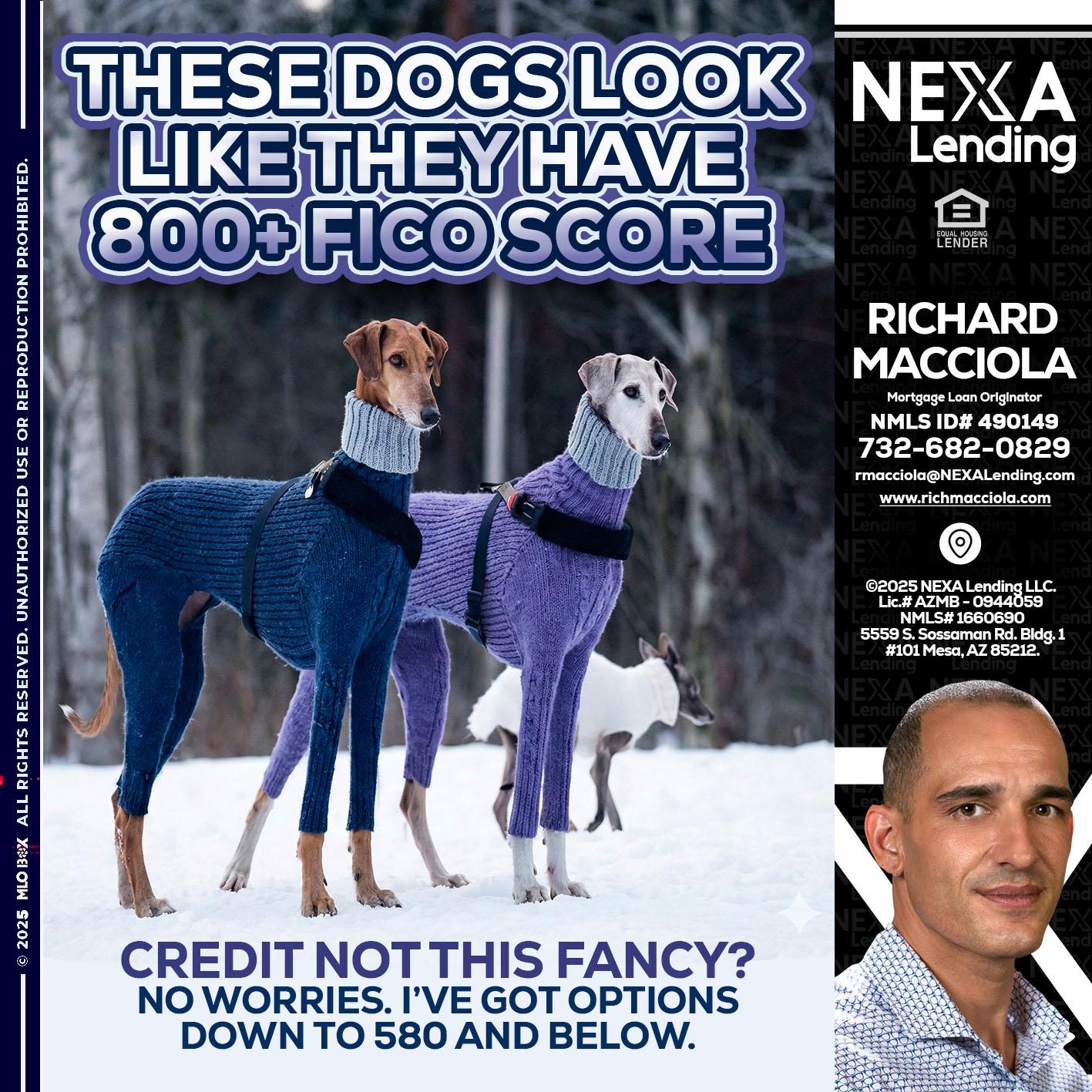 THESE DOGS LOOK - Richard Macciola -Mortgage Loan Originator